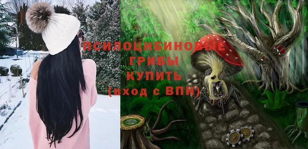 PSILOCYBIN Козельск