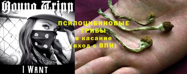 PSILOCYBIN Козельск