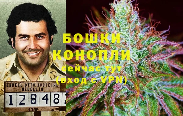 PSILOCYBIN Козельск